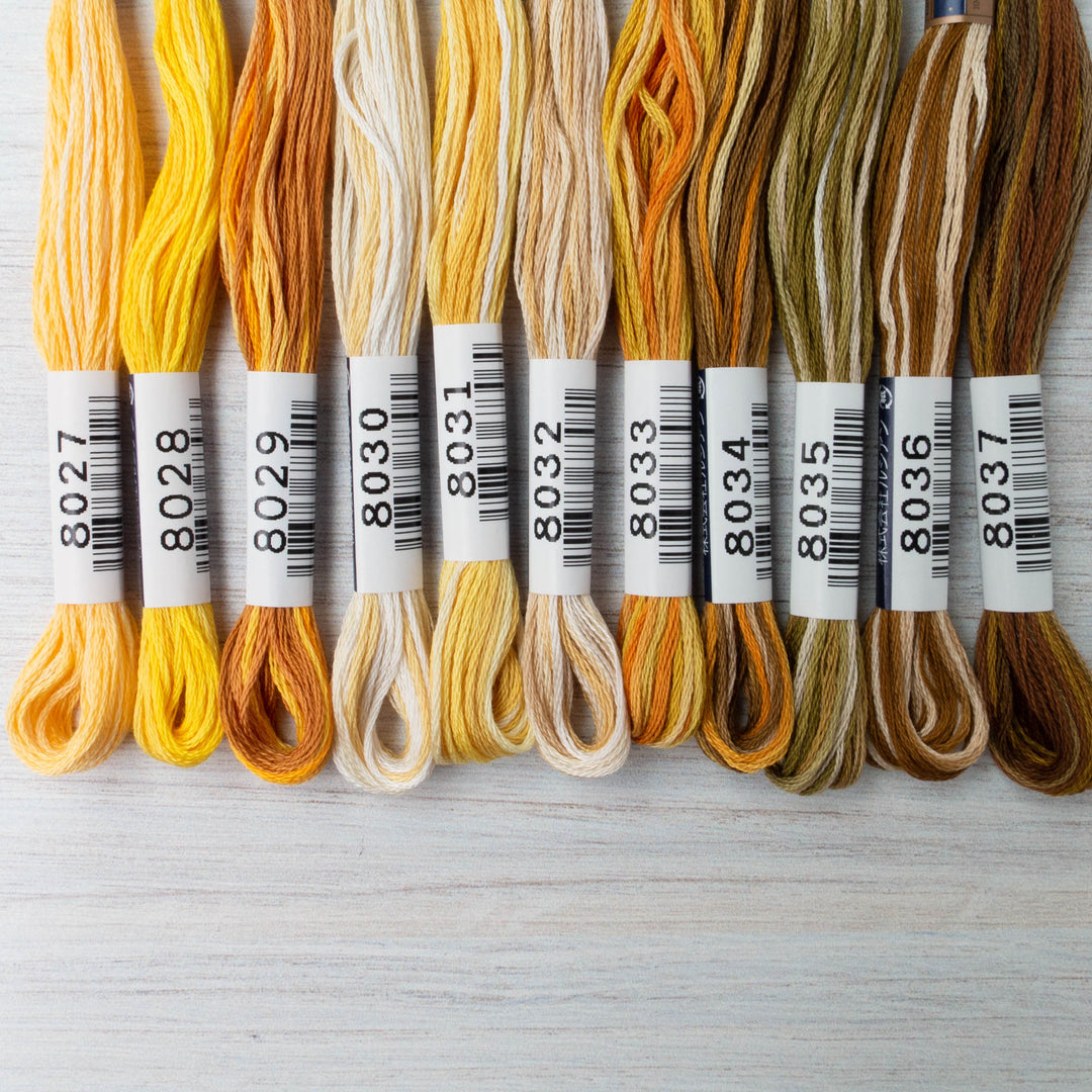 Cosmo Seasons Variegated Embroidery Floss Browns 8036 - 4547383673118