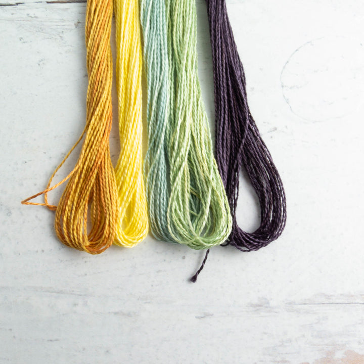 Perle Cotton Thread Set - Weeks Dye Works Size 8 Field