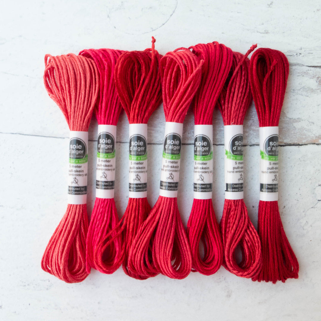 Soie d'Alger Silk Embroidery Thread - Reds – Snuggly Monkey
