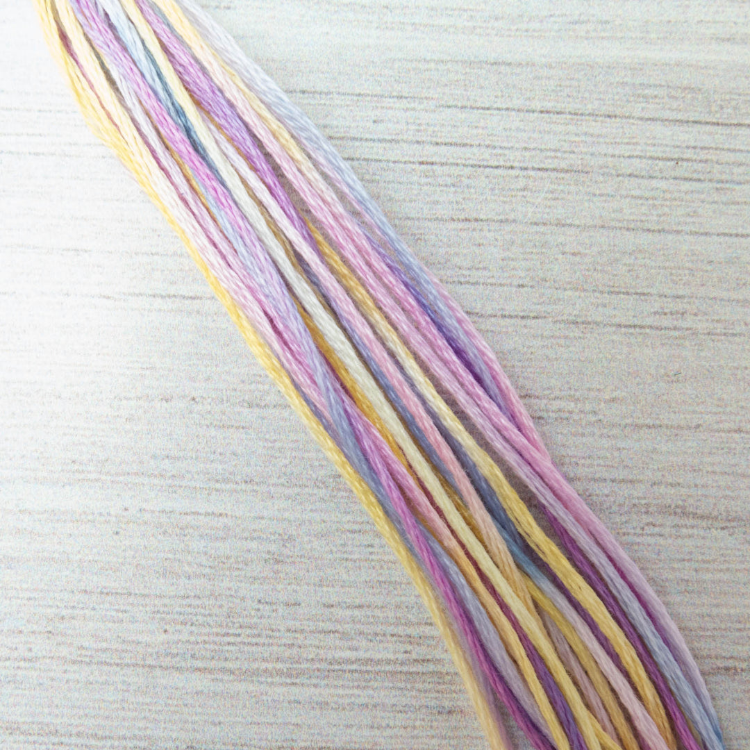 Weeks Dye Works Hand Over Dyed Embroidery Floss - Celebration (4123)