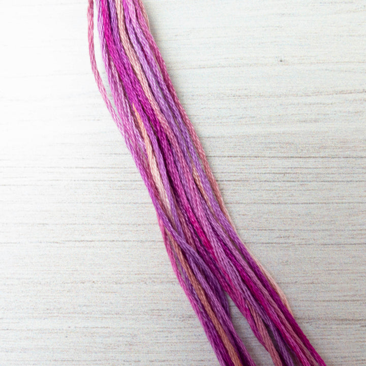 Weeks Dye Works Hand Over Dyed Embroidery Floss - Azaleas (4145)