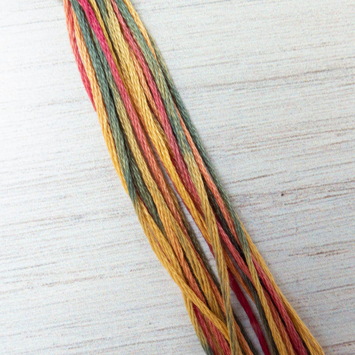 Weeks Dye Works Hand Over Dyed Embroidery Floss - Noel (4105)