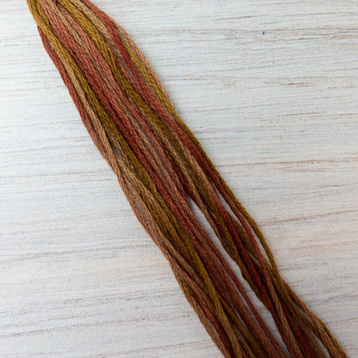 Weeks Dye Works Hand Over Dyed Embroidery Floss - Tobacco Road (4155)