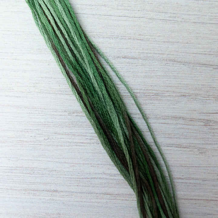 Weeks Dye Works Hand Over Dyed Embroidery Floss - Foliage (4135)