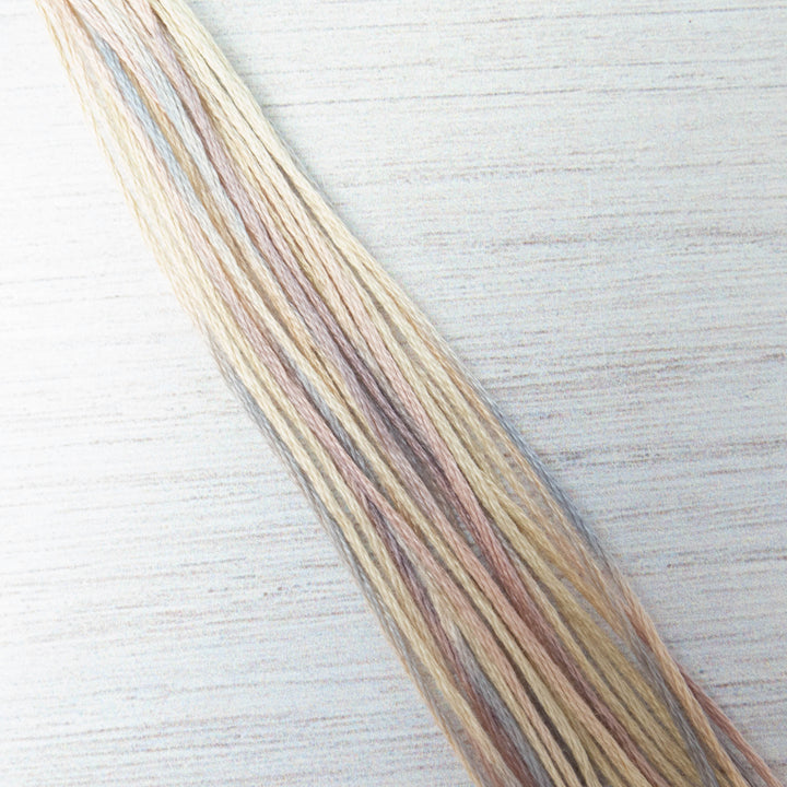 Weeks Dye Works Hand Over Dyed Embroidery Floss - Clam Shell (4141)