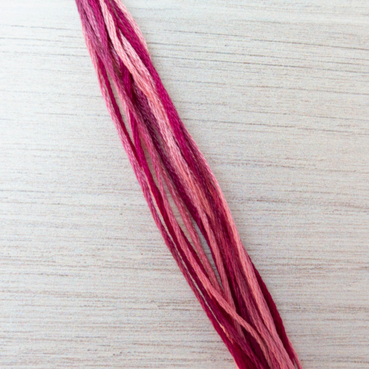 Weeks Dye Works Hand Over Dyed Embroidery Floss - Love (4109)