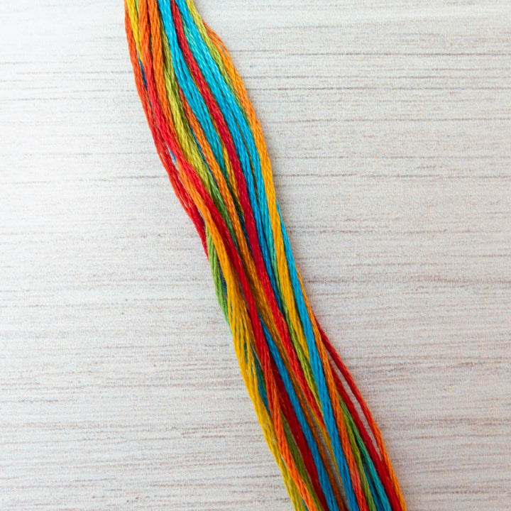 Weeks Dye Works Hand Over Dyed Embroidery Floss - Confetti (4107)
