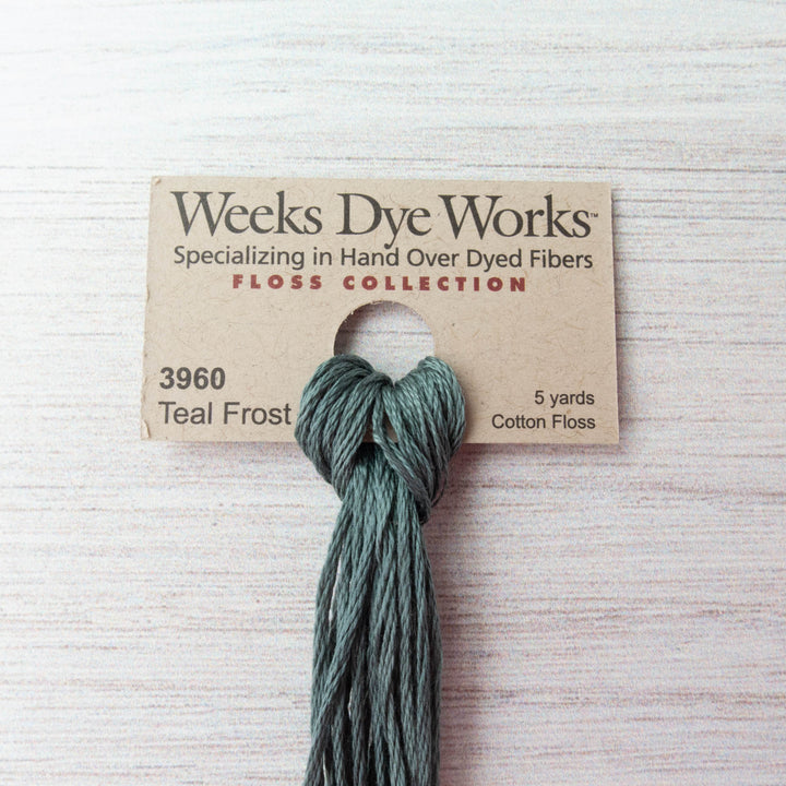 Weeks Dye Works Hand Over Dyed Embroidery Floss - Teal Frost (3960) Floss - Snuggly Monkey