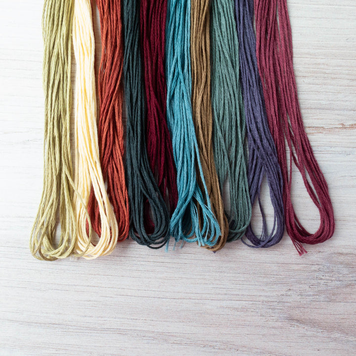 Weeks Dye Works Embroidery Floss Solids Collection (10 skeins) Floss - Snuggly Monkey