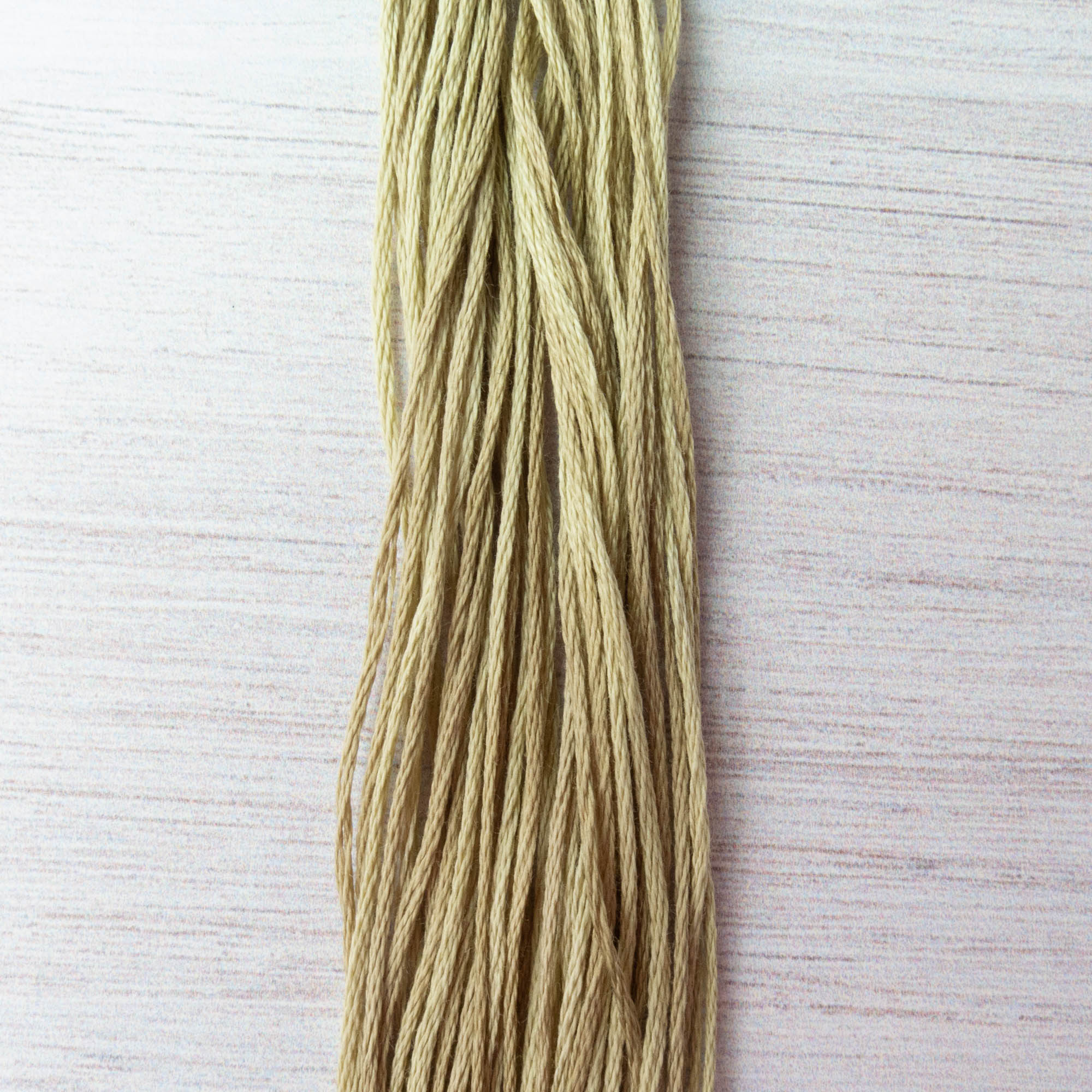 Weeks Dye Works Hand Over Dyed Embroidery Floss - Broom Tree (1194