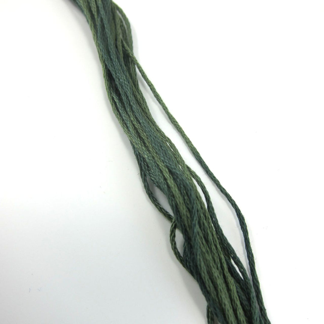 Weeks Dye Works Hand Over Dyed Embroidery Floss - Collards (1277) Floss - Snuggly Monkey