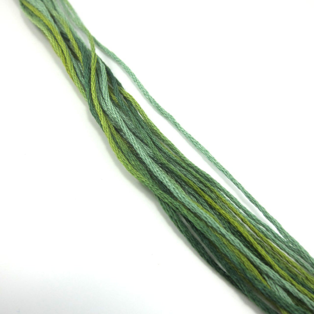 Weeks Dye Works Hand Over Dyed Embroidery Floss - Lucky (4111) Floss - Snuggly Monkey