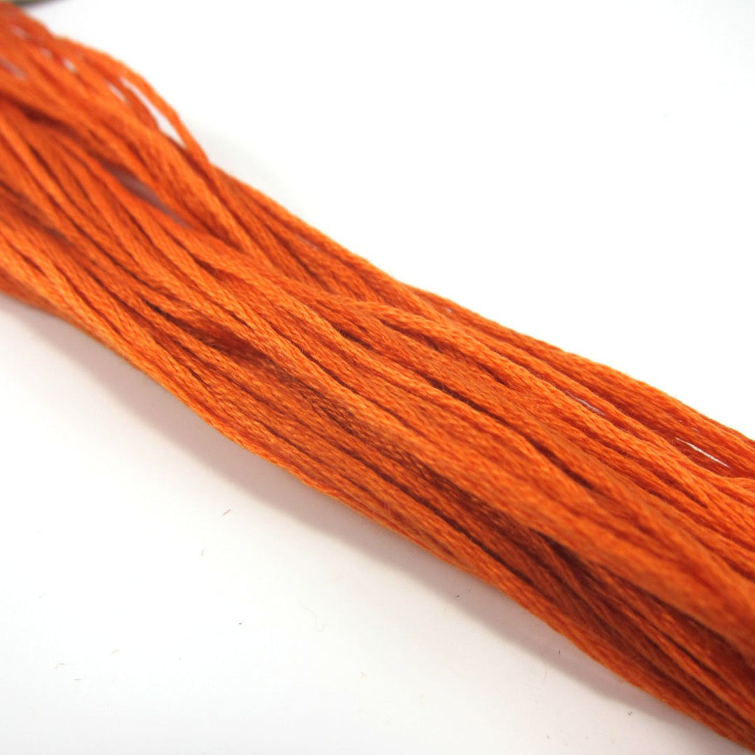 Weeks Dye Works Hand Over Dyed Embroidery Floss - Pumpkin (2228) Floss - Snuggly Monkey