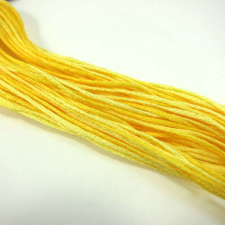 Weeks Dye Works Hand Over Dyed Embroidery Floss - Saffron (2223) Floss - Snuggly Monkey
